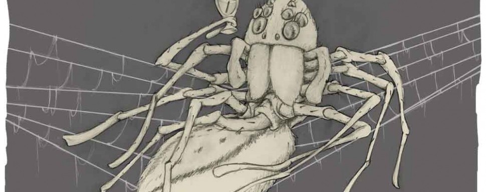 Bug Bonanza: Is climate change impacting northern spiders and insects? Bug Bonanza: Is climate change impacting northern spiders and insects?