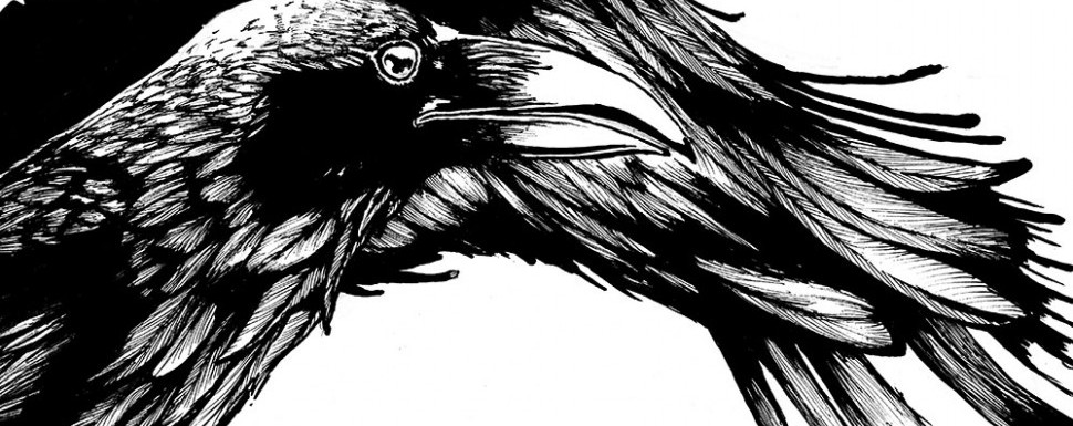 How Raven found his lunch:  Stories across cultures of an eternally hungry bird