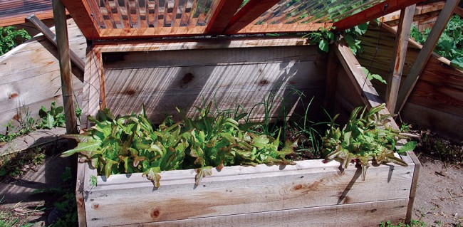 Cold Frames and Hotbeds—Stretching the northern growing season