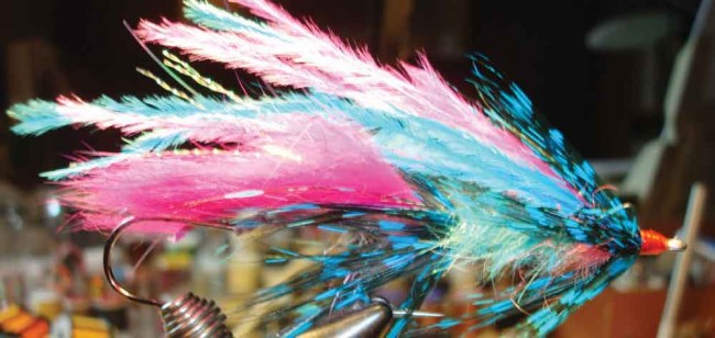 Brian’s fly pattern for landing steelhead