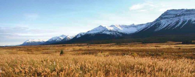 Cultural Conservation:  A Tahltan fights to preserve his first nation’s language