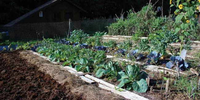 Sunny Slopes and Garden Growth:  Approaching your crops from a new angle