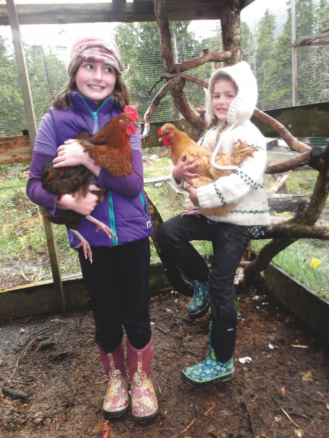 Backyard Chickens: Community Coop-keeping coming into its own?