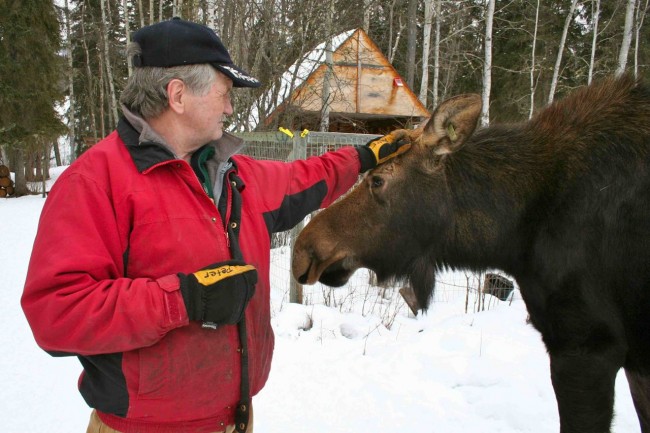 A wild life: The Langen’s unexpected career