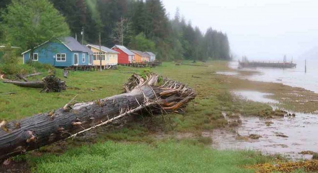 Gone but not forgotten:Port Edward’s defunct canneries offer everything from history to beachcombing