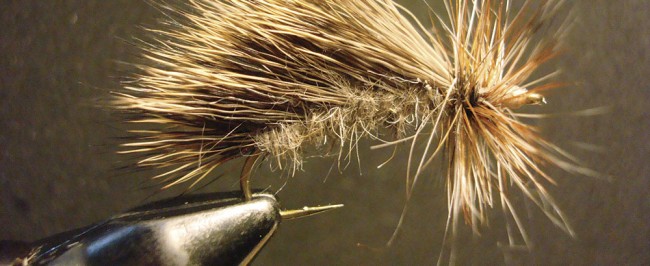 On the Fly: Still-water caddis, anyone?