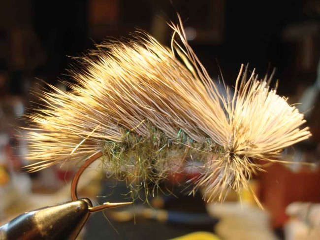 On the Fly: The Bulkley River: Clear water, dry flies and big fish