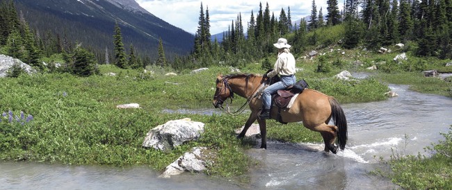 Kakwa by Horse:  Region offers Banff’s beauty without the multitudes