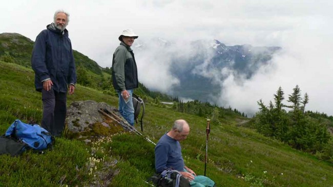 Mountain garden: Discovering grace in the great northern wilderness