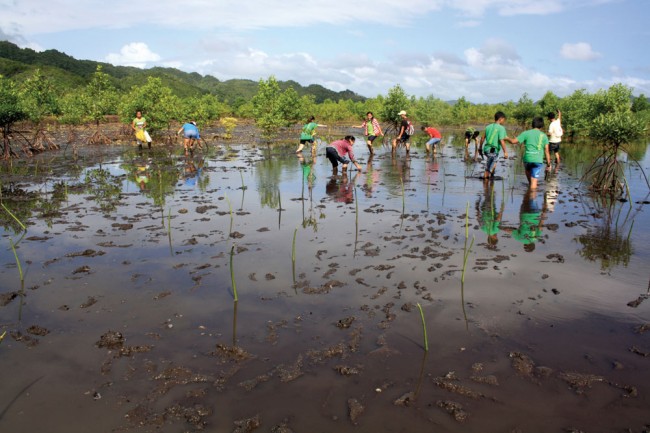 Modelling community-based forest stewardship