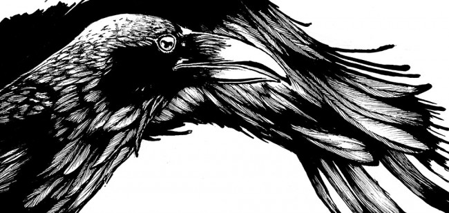 How Raven found his lunch:  Stories across cultures of an eternally hungry bird