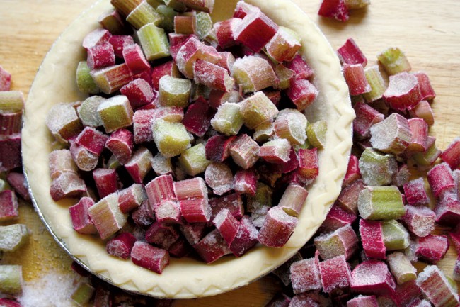 Purges and Pies: the strange story of northern rhubarb