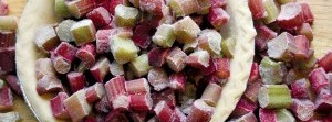 Purges and Pies: the strange story of northern rhubarb