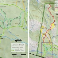 Canyon Creek—Groomed trails, tree skiing, and alpine meadows