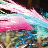 Brian’s fly pattern for landing steelhead