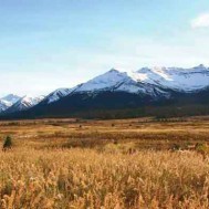 Cultural Conservation:  A Tahltan fights to preserve his first nation’s language