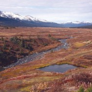 Silence on the Sacred Headwaters: What happens next?