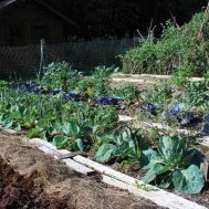 Sunny Slopes and Garden Growth:  Approaching your crops from a new angle