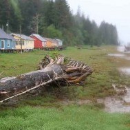 Gone but not forgotten:Port Edward’s defunct canneries offer everything from history to beachcombing