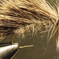 On the Fly: Still-water caddis, anyone?