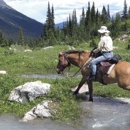 Kakwa by Horse:  Region offers Banff’s beauty without the multitudes