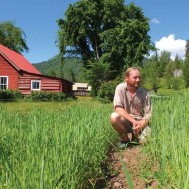 Crop studies:  Learning more about the food we grow