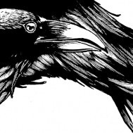 How Raven found his lunch:  Stories across cultures of an eternally hungry bird