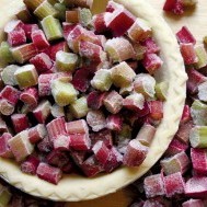 Purges and Pies: the strange story of northern rhubarb